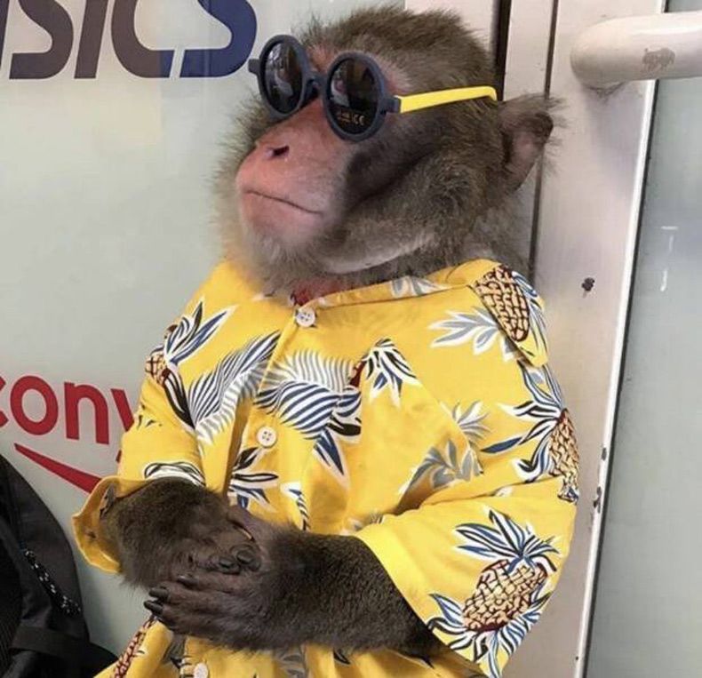 Gewoon een verzameling hilarische foto's #1641