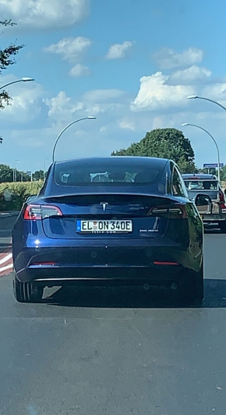 Gewoon een verzameling hilarische foto's #1641