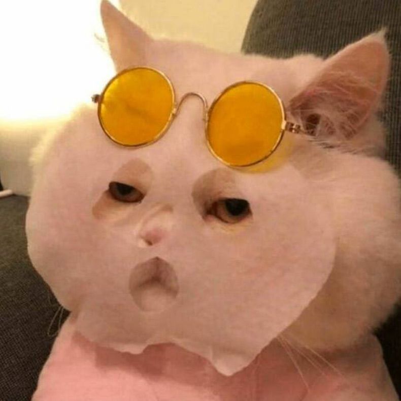 Gewoon een verzameling hilarische foto's #1642