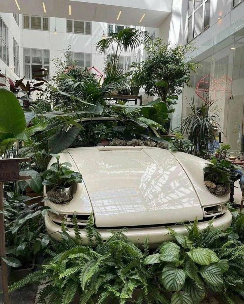 Gewoon een verzameling hilarische foto's #1642