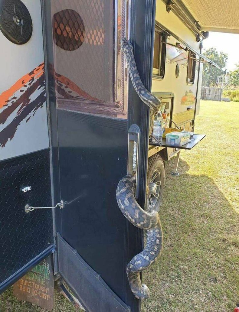 Gewoon een verzameling hilarische foto's #1642