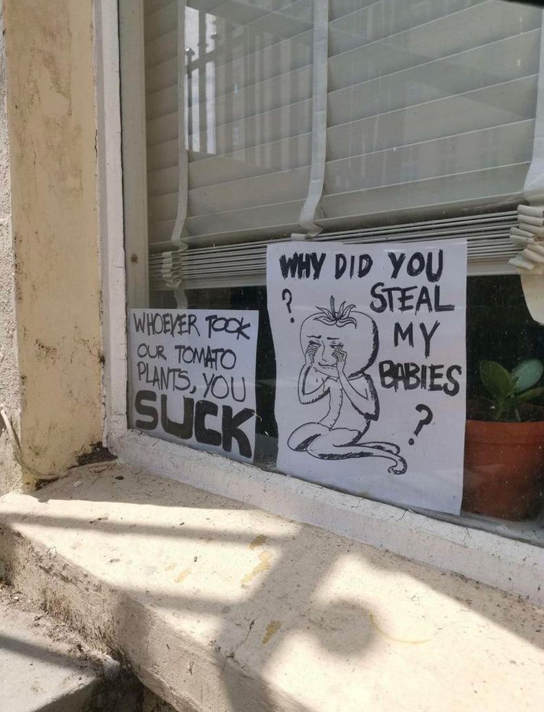 Gewoon een verzameling hilarische foto's #1642