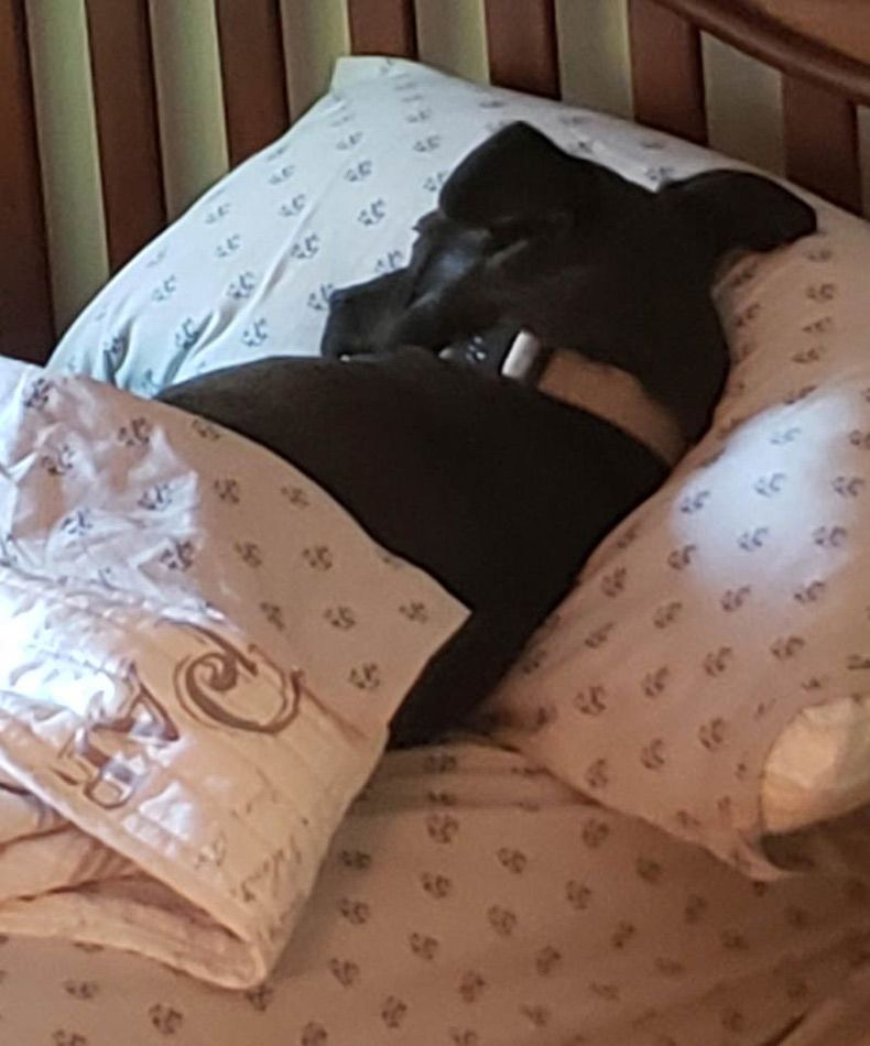 Gewoon een verzameling hilarische foto's #1642