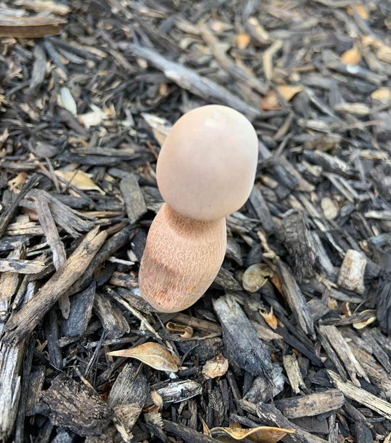 Gewoon een verzameling hilarische foto's #1642