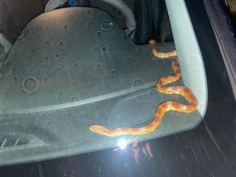 Gewoon een verzameling hilarische foto's #1642