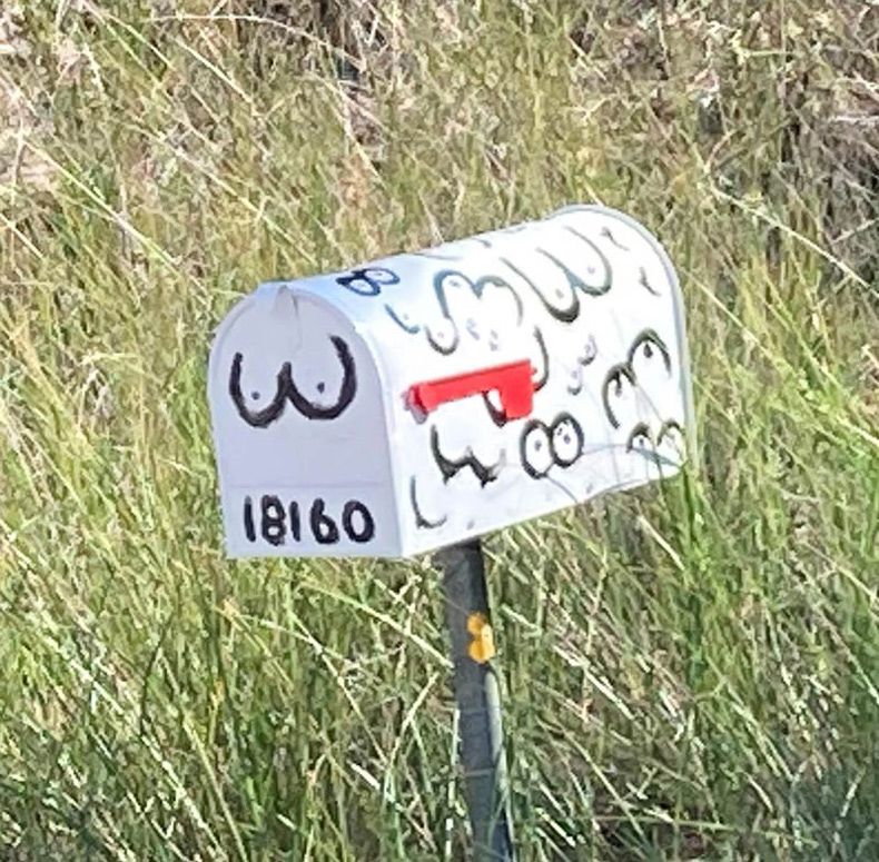 Gewoon een verzameling hilarische foto's #1642