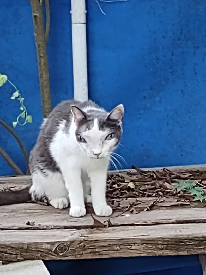 Gewoon een verzameling hilarische foto's #1642