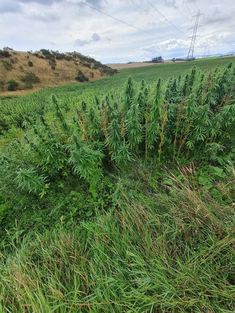 Gewoon een verzameling hilarische foto's #1642