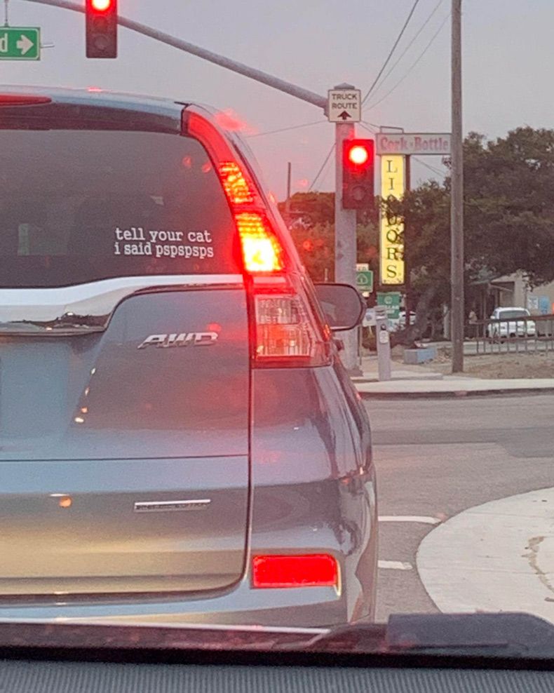 Gewoon een verzameling hilarische foto's #1642