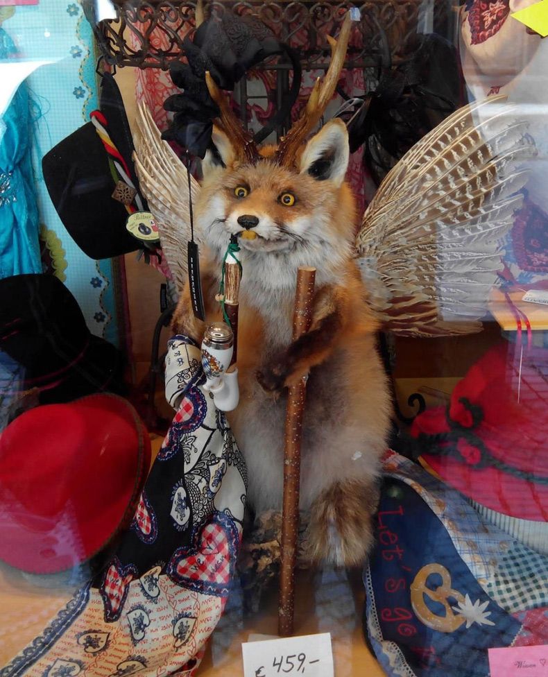 Gewoon een verzameling hilarische foto's #1642