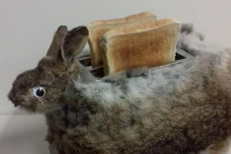 Gewoon een verzameling hilarische foto's #1642