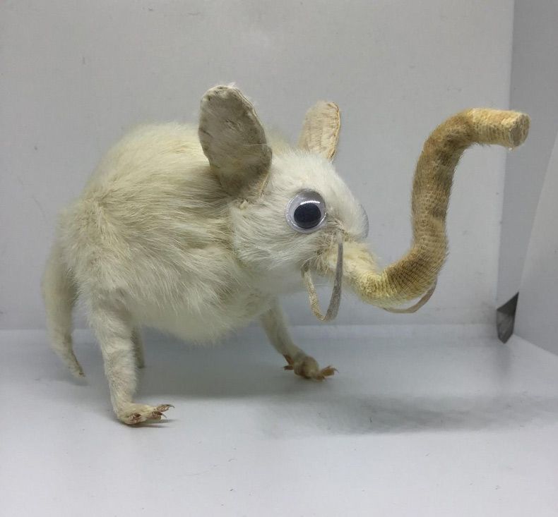 Gewoon een verzameling hilarische foto's #1642