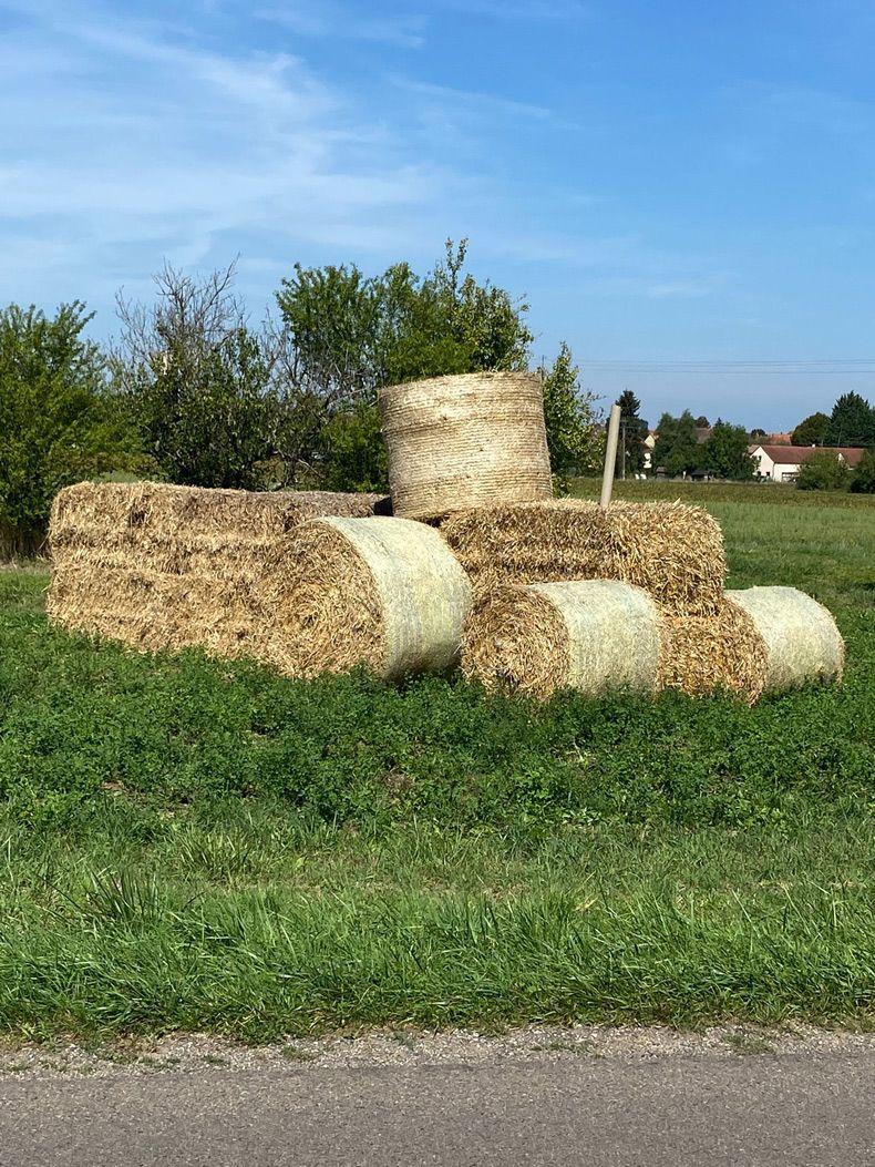 Gewoon een verzameling hilarische foto's #1643