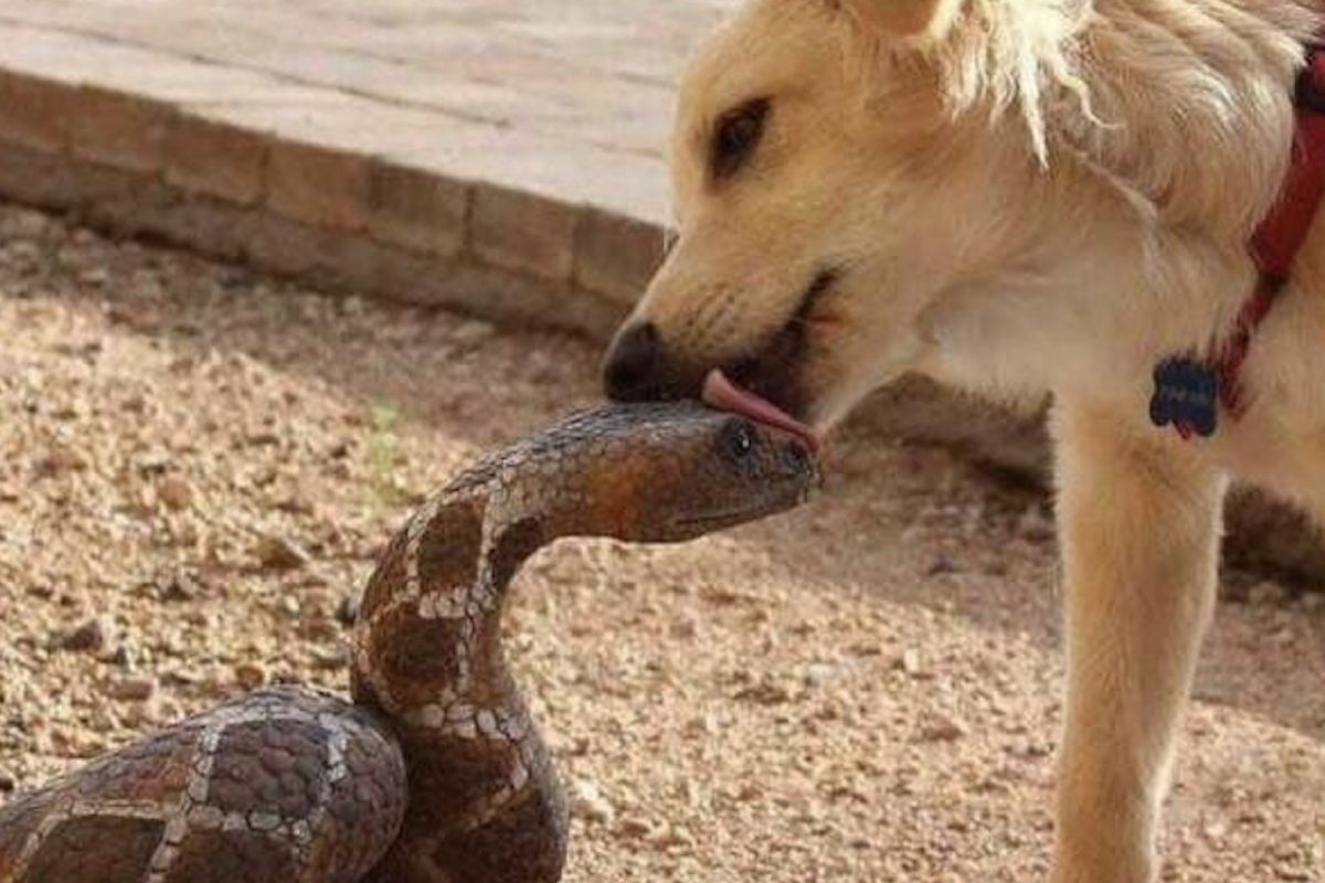 Gewoon een verzameling hilarische foto's #1635