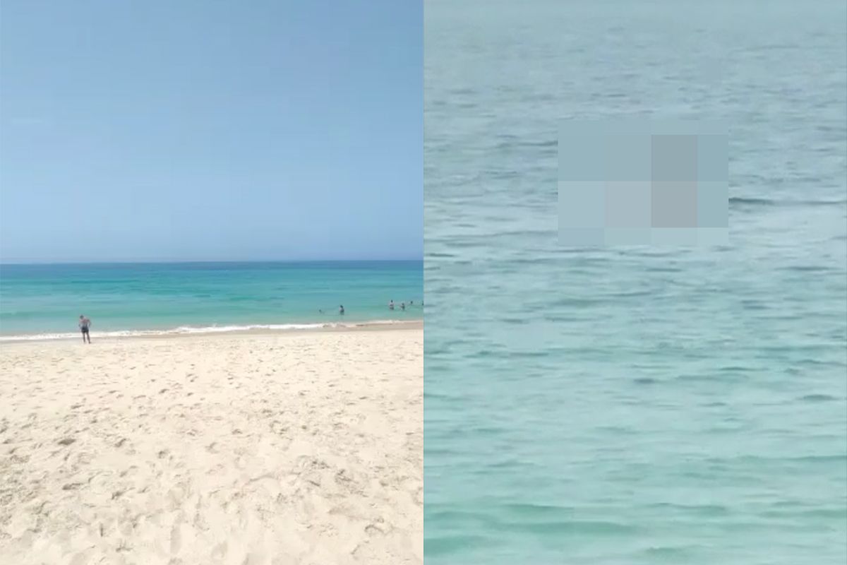 Opschepper laat zien hoe extreem goede zoom-functie zijn telefoon heeft