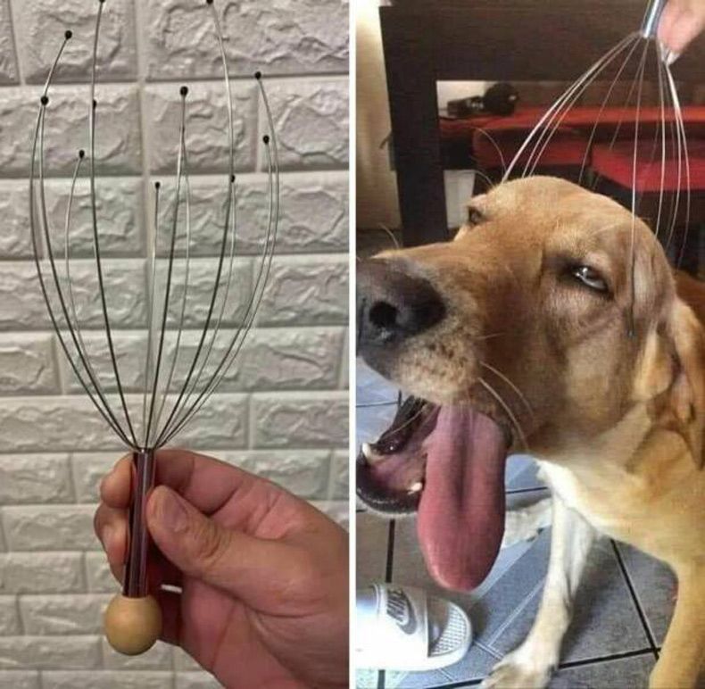 Gewoon een verzameling hilarische foto's #1645