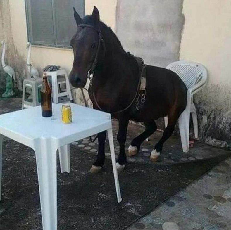 Gewoon een verzameling hilarische foto's #1645