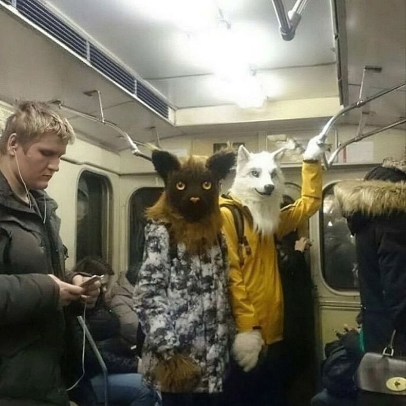 Gewoon een verzameling hilarische foto's #1653