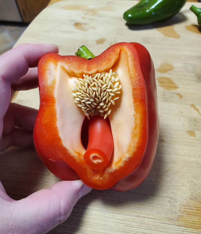 Gewoon een verzameling hilarische foto's #1655