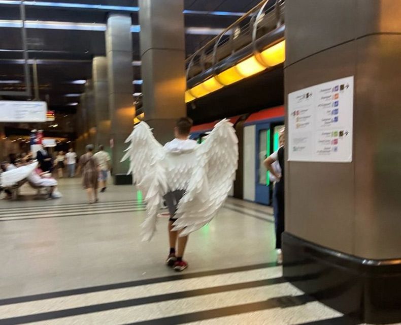 Gewoon een verzameling hilarische foto's #1656