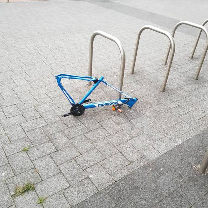 Gewoon een verzameling hilarische foto's #1656