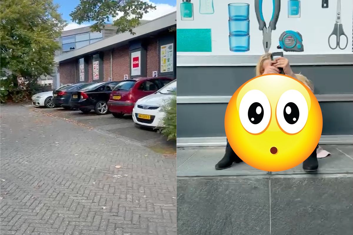 Ondertussen ergens in Nederland: Poesje heeft frisse lucht nodig
