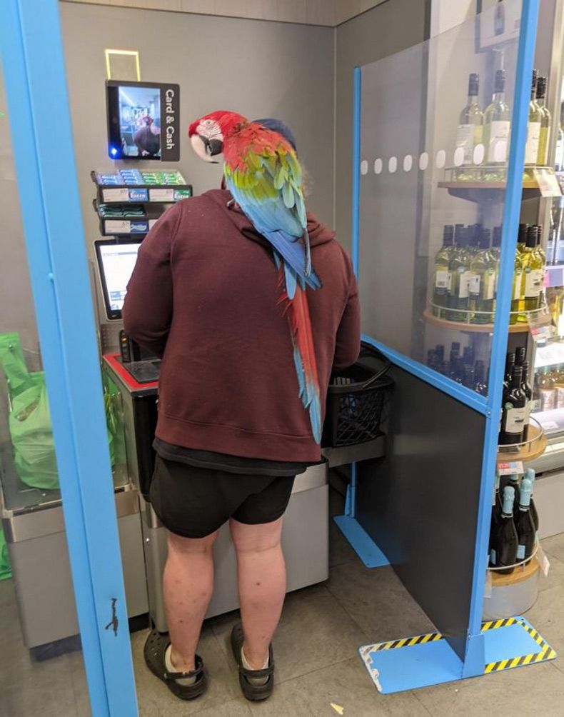 Gewoon een verzameling hilarische foto's #1657