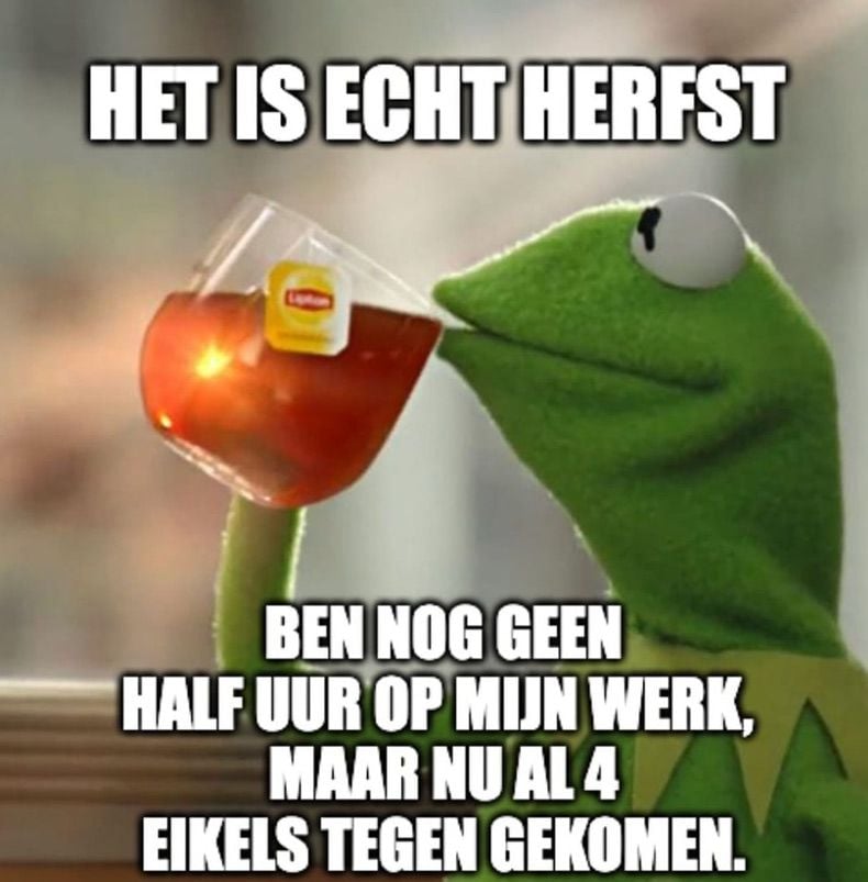 Gewoon een verzameling hilarische foto's #1657
