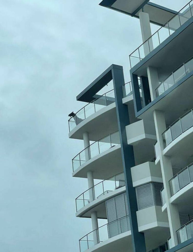 Gewoon een verzameling hilarische foto's #1659