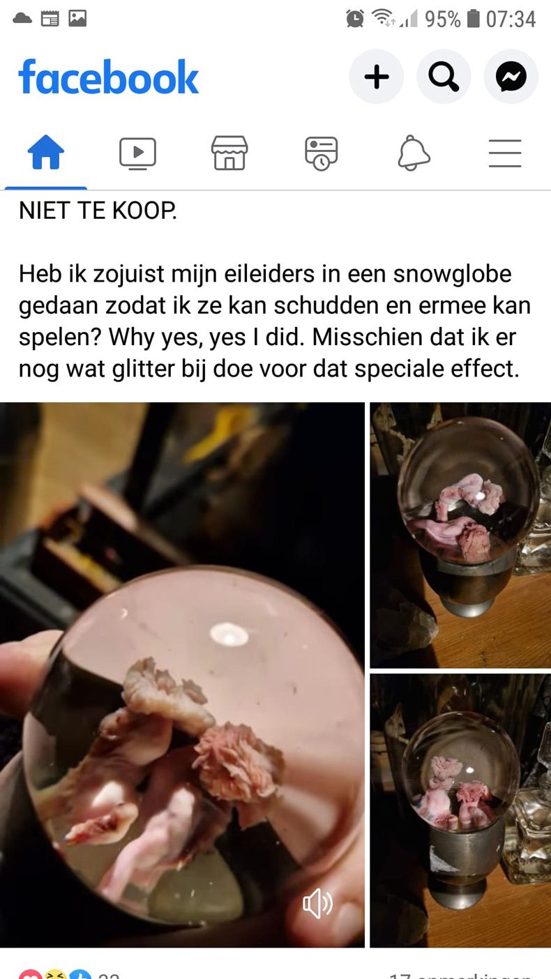 Gewoon een verzameling hilarische foto's #1659