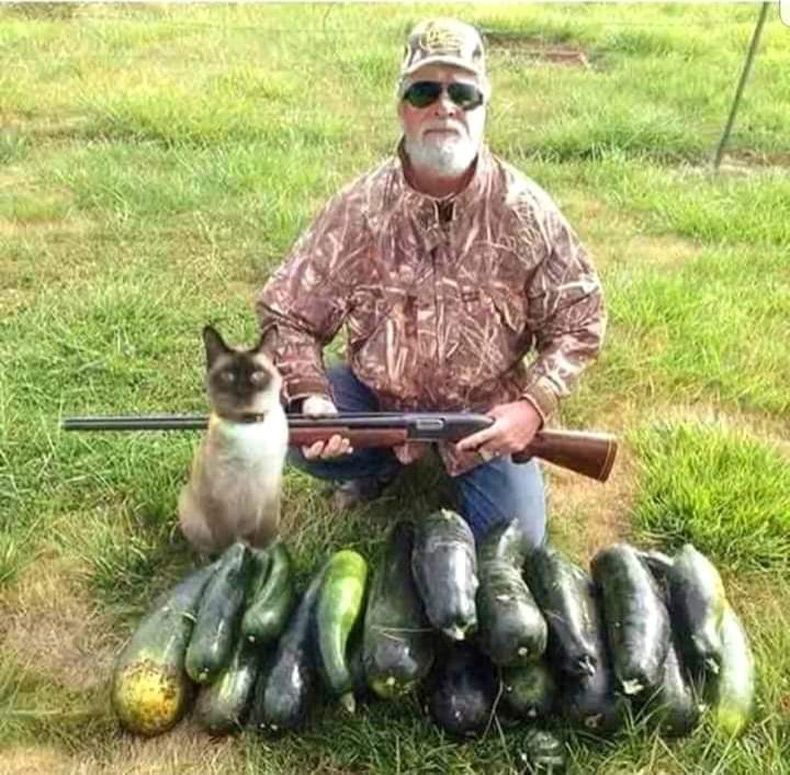 Gewoon een verzameling hilarische foto's #1659