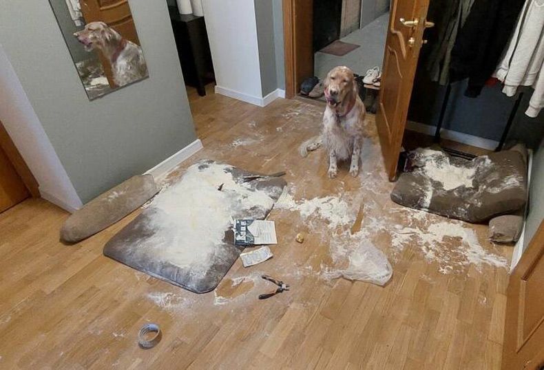 Gewoon een verzameling hilarische foto's #1661