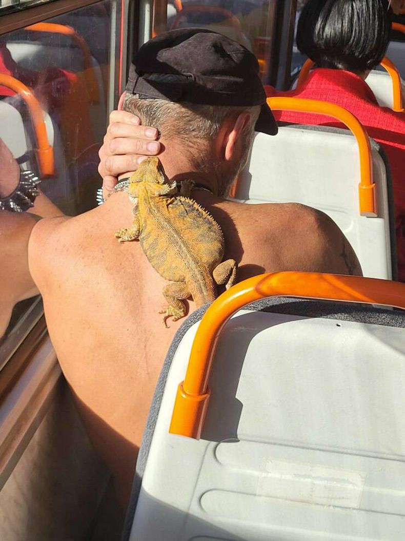 Gewoon een verzameling hilarische foto's #1661