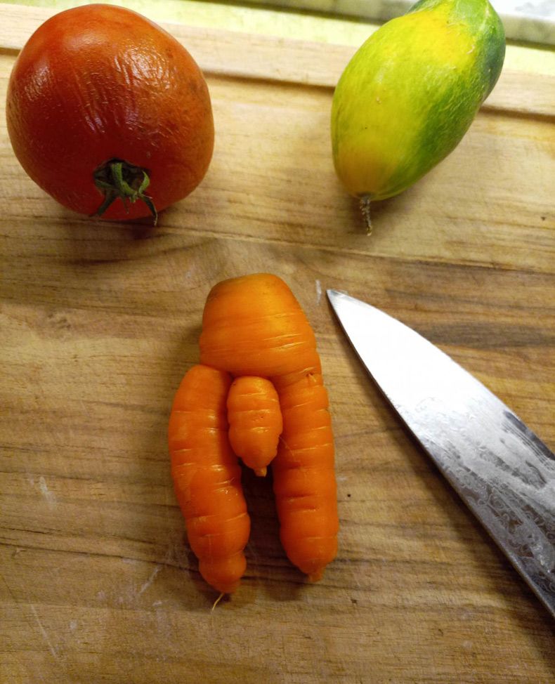 Gewoon een verzameling hilarische foto's #1661