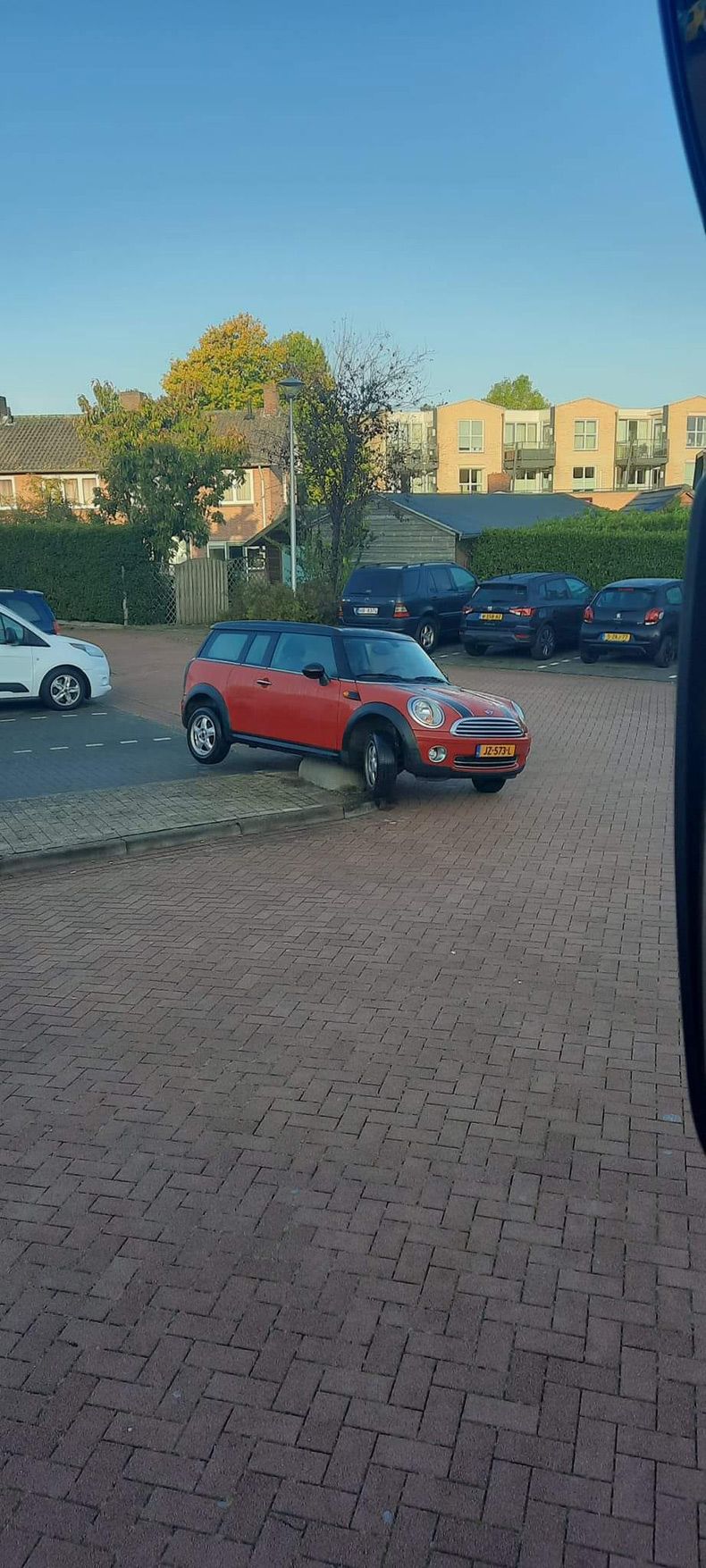 Gewoon een verzameling hilarische foto's #1661