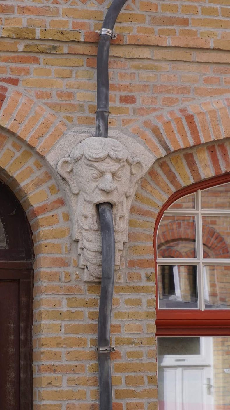 Gewoon een verzameling hilarische foto's #1661