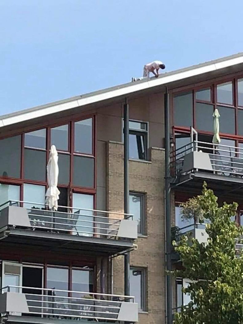 Gewoon een verzameling hilarische foto's #1663
