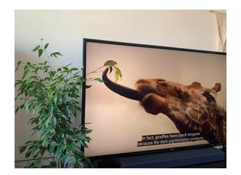 Gewoon een verzameling hilarische foto's #1663
