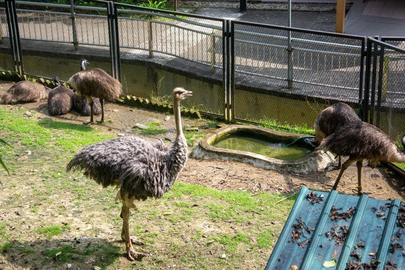 Gewoon een verzameling hilarische foto's #1664