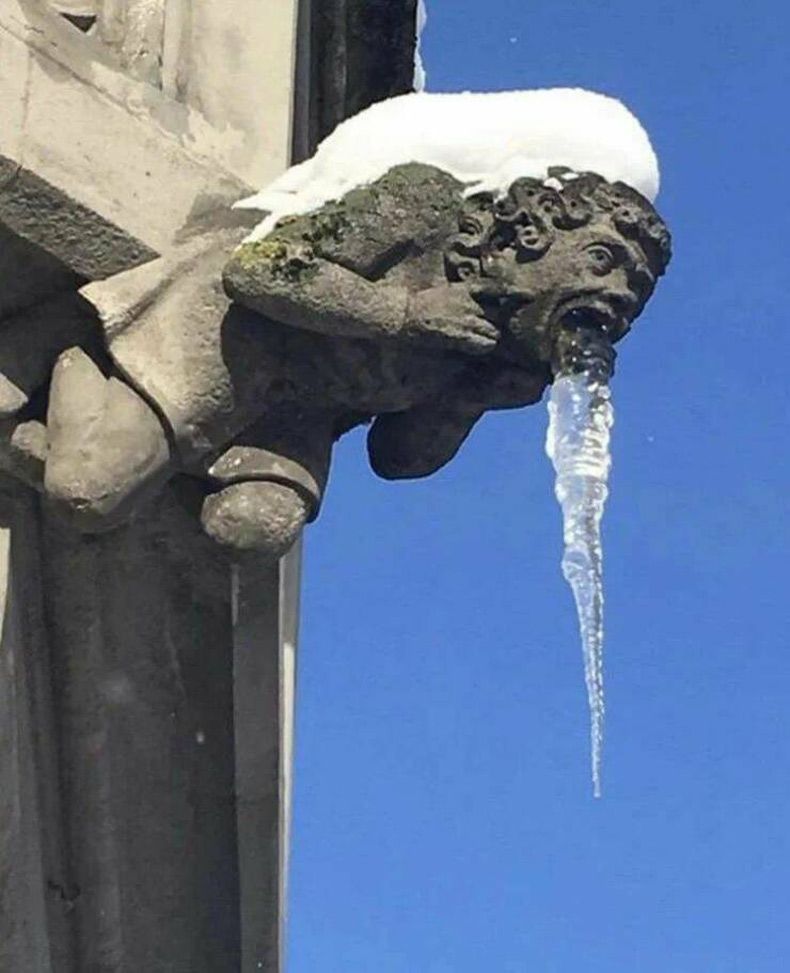 Gewoon een verzameling hilarische foto's #1664