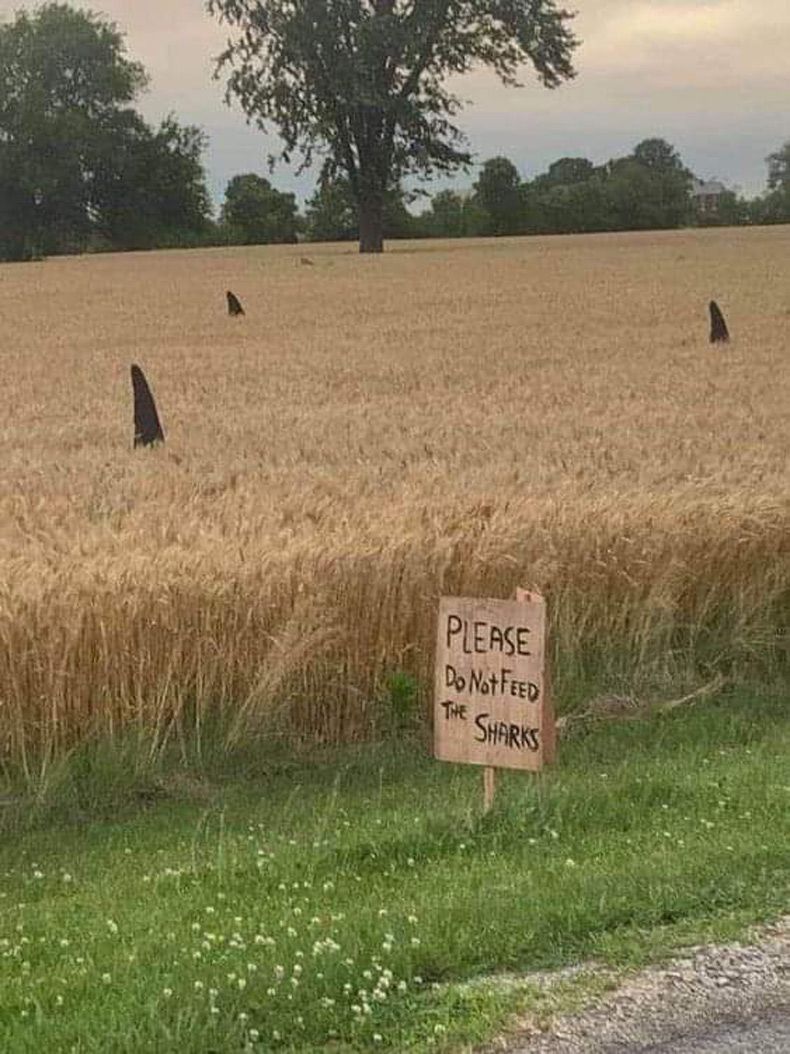 Gewoon een verzameling hilarische foto's #1664