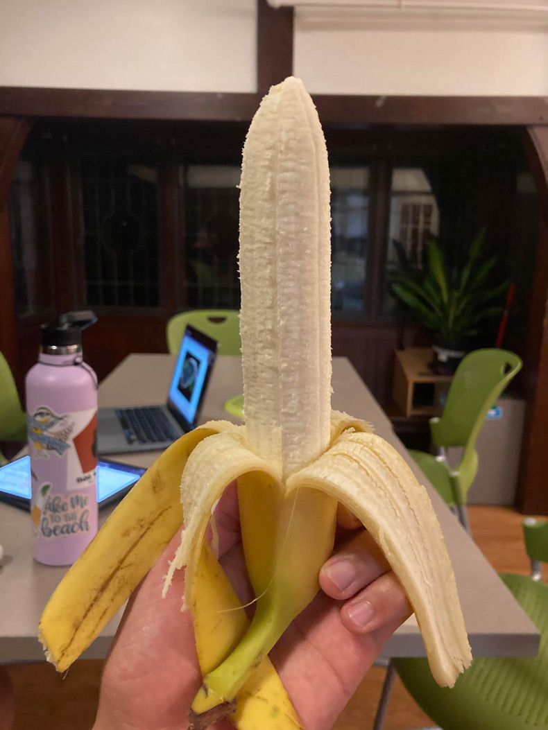 Gewoon een verzameling hilarische foto's #1664