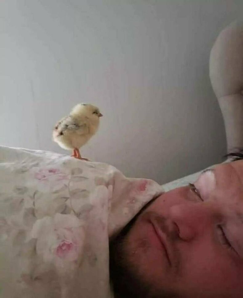 Gewoon een verzameling hilarische foto's #1666