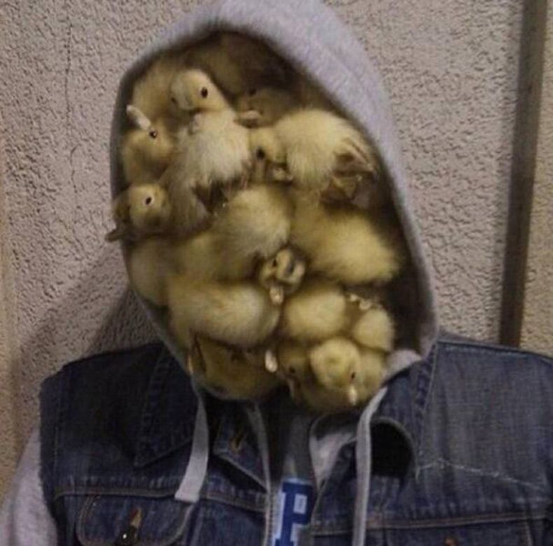 Gewoon een verzameling hilarische foto's #1669