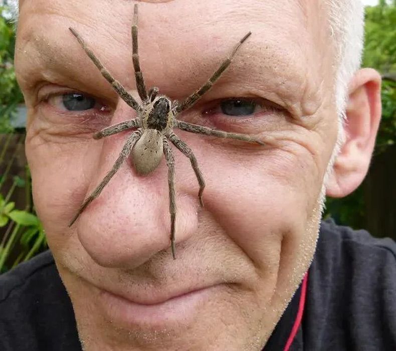 Gewoon een verzameling hilarische foto's #1669