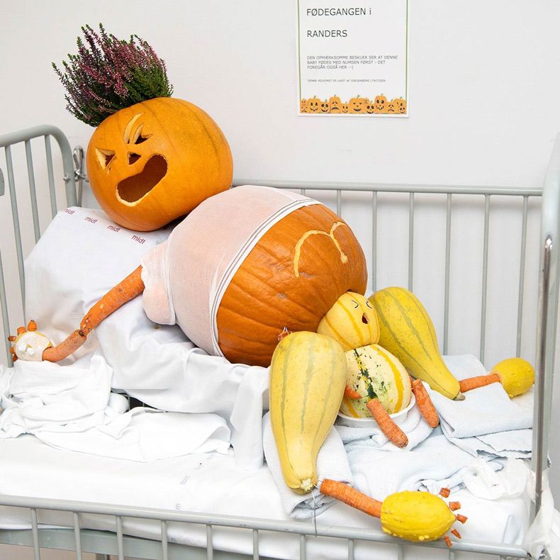 Gewoon een verzameling hilarische foto's #1669