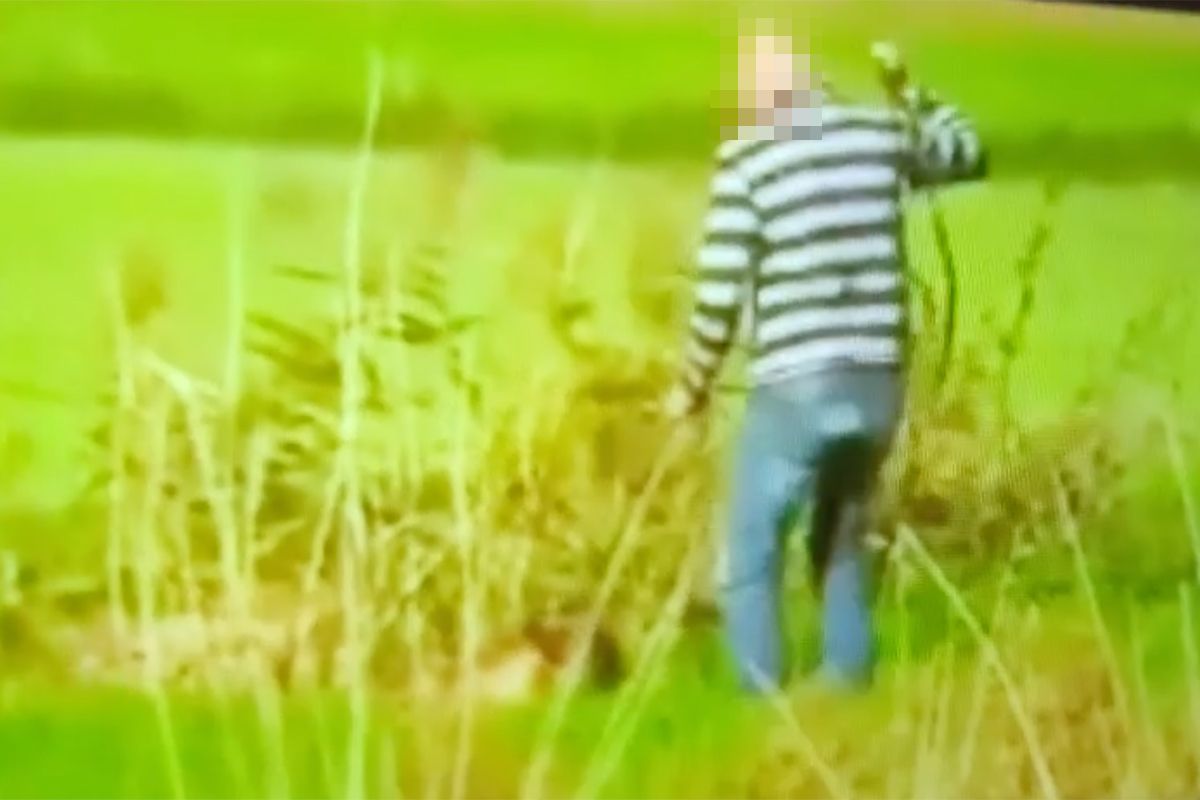 Man gefilmd terwijl hij hond mishandelt, vriendin verbreekt relatie en zet hem op straat