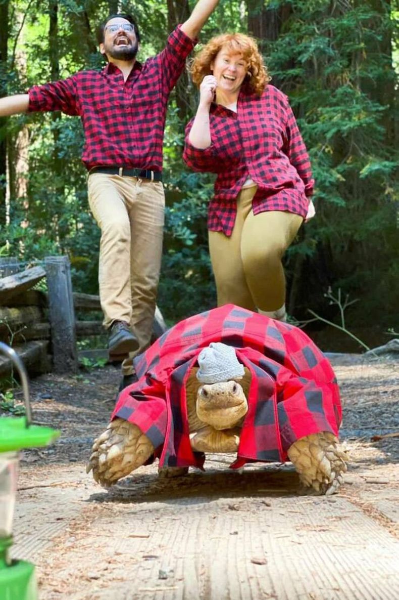 Gewoon een verzameling hilarische foto's #1680