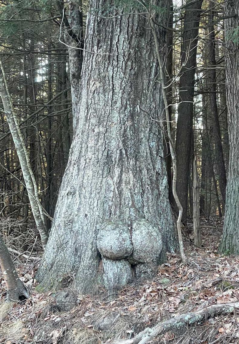 Gewoon een verzameling hilarische foto's #1680