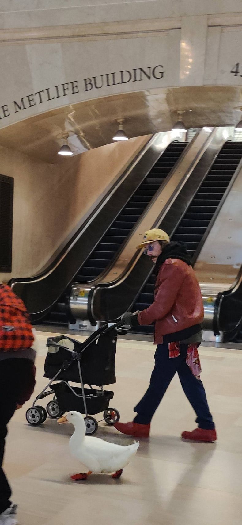 Gewoon een verzameling hilarische foto's #1670